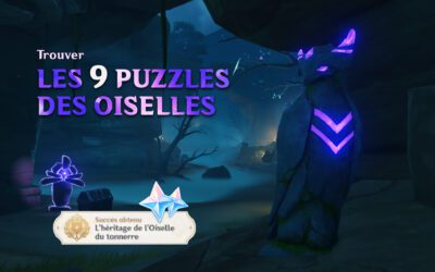 Les puzzles des oiselles sur l’île de Tsurumi