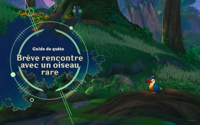 Guide de quête « Brève rencontre avec un oiseau rare »