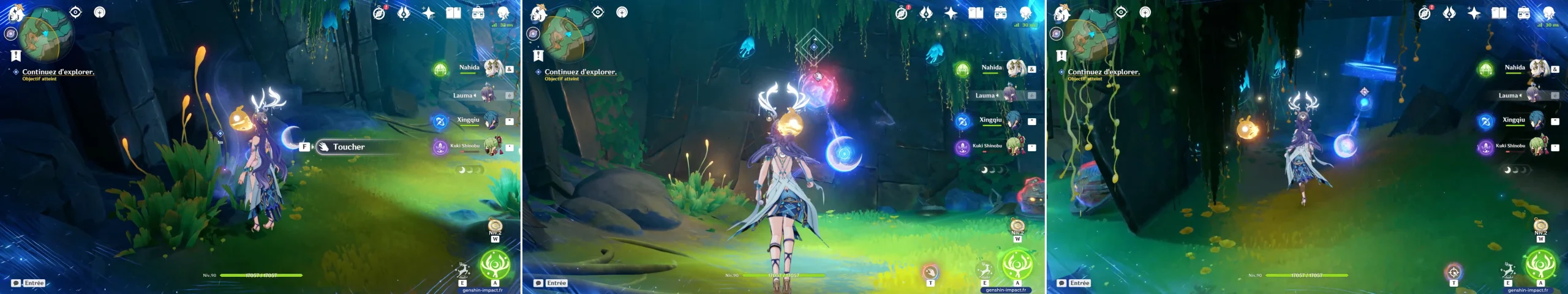 murmure plante brillante